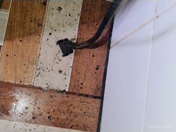 Inspección y eliminación de moho