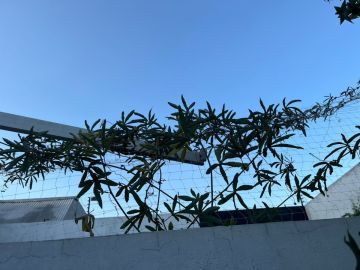 Mantenimiento y reparación de toldos - Toldos