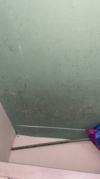 Inspección y eliminación de moho
