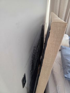 Mold Inspection and Removal