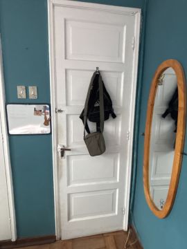 Instalação de Porta para Animais de Estimação