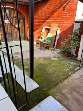 Mold Removal Expert