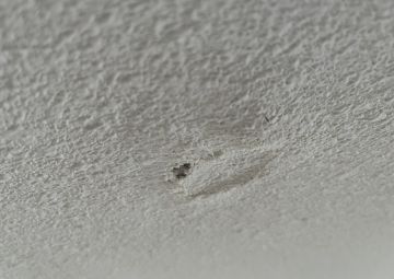 Inspección y eliminación de moho