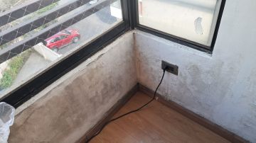 Inspeção e Remoção de Bolor