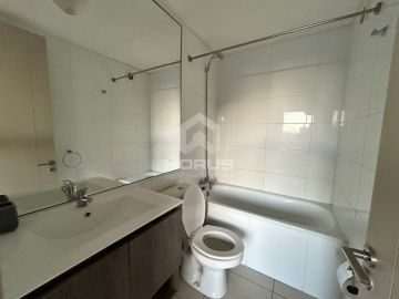 Property Cleanup Specialist