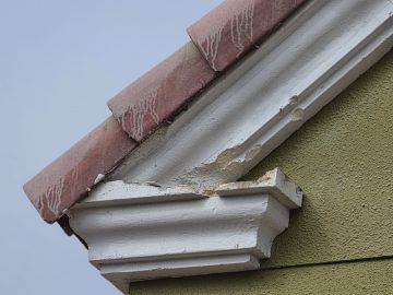 Roof Repair or Maintenance
