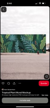 Muralist