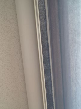 Inspección y eliminación de moho