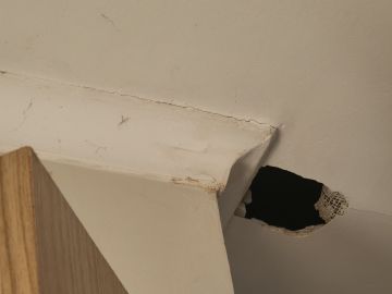 Inspección y eliminación de moho