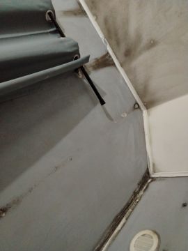 Experto en eliminación de moho