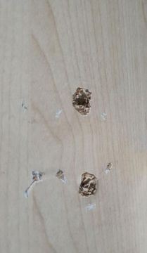 Furniture restoration