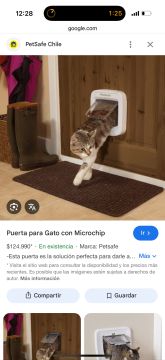Pet Door Installer