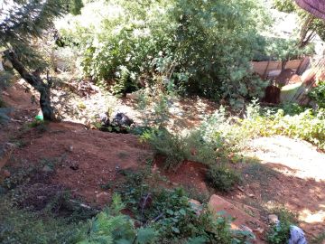 Land clearance specialist