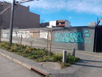 Mural Artist