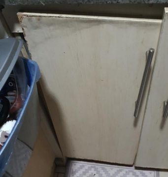 Carpentry and Woodworking