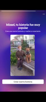 Dog Hotel
