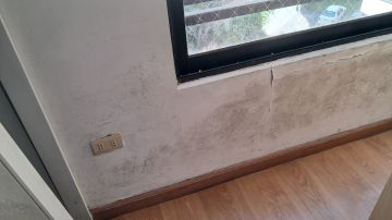 Especialista em Remoção de Bolor