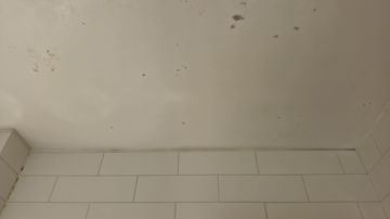 Especialista em Remoção de Bolor