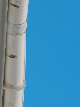 Gutter Installer