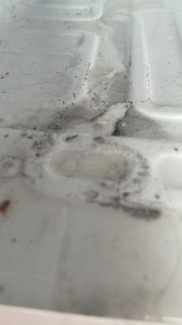 Mantenimiento o reparación de refrigeradores