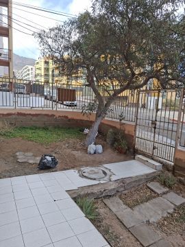 Poda e Manutenção de Árvores