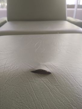Reparador de muebles - Hogar