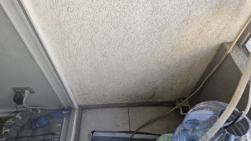 Instalador de Portas para Animais de Estimação