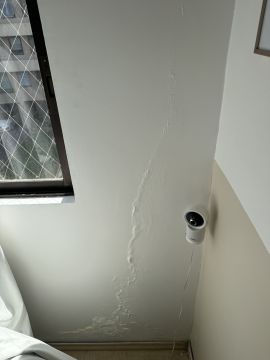 Inspección y eliminación de moho