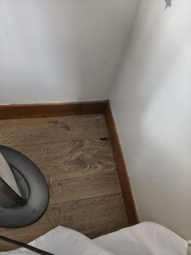 Experto en eliminación de moho