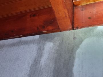 Limpiador para mantenimiento y limpieza de canaletas