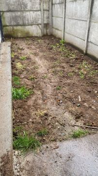 Artificial Turf Specialist