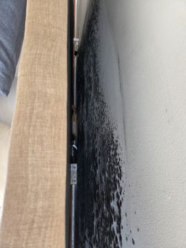 Mold Inspection and Removal
