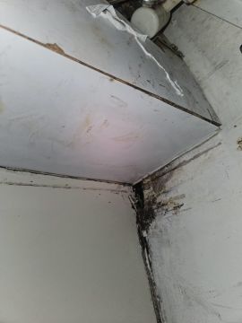 Especialista em Remoção de Bolor