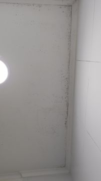 Inspección y eliminación de moho