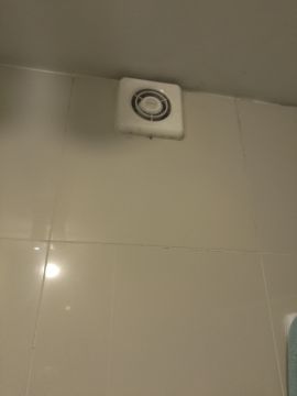 Bathroom Fan Professional