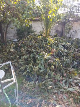Waste Removal
