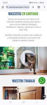 Instalador de puertas para mascotas