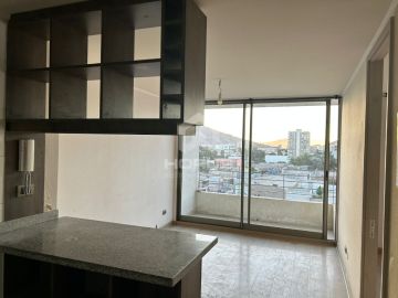 Property Cleanup - Cleaning