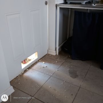Instalador de puertas para mascotas