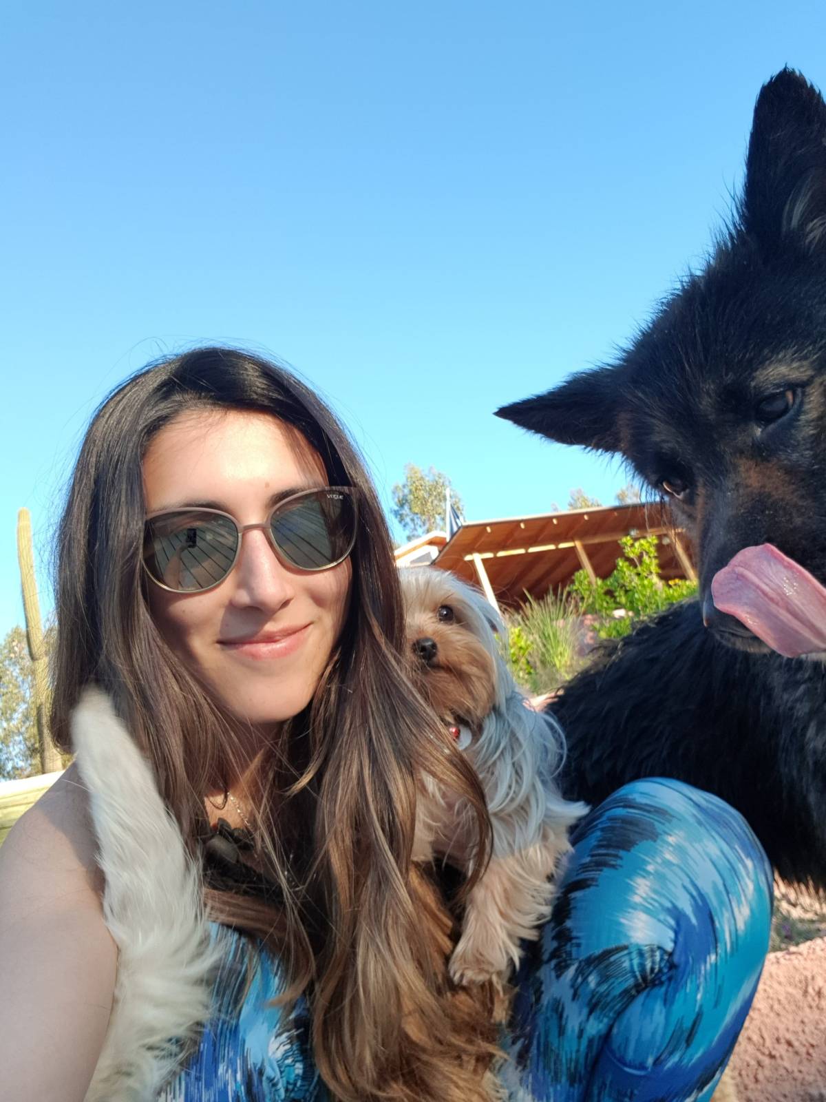 Cuido a tus mascotas - Santiago - Dog Sitting