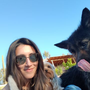 Cuido a tus mascotas - Santiago - Dog Sitting