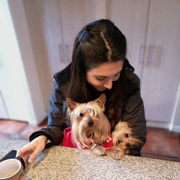 Cuido a tus mascotas - Santiago - Cat Sitting