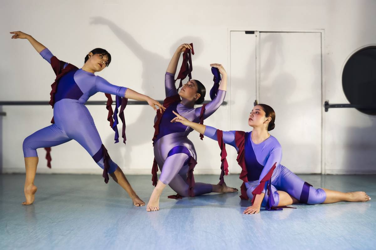 DVG DANCE PROJECT - Santiago - Belly Dance Lessons