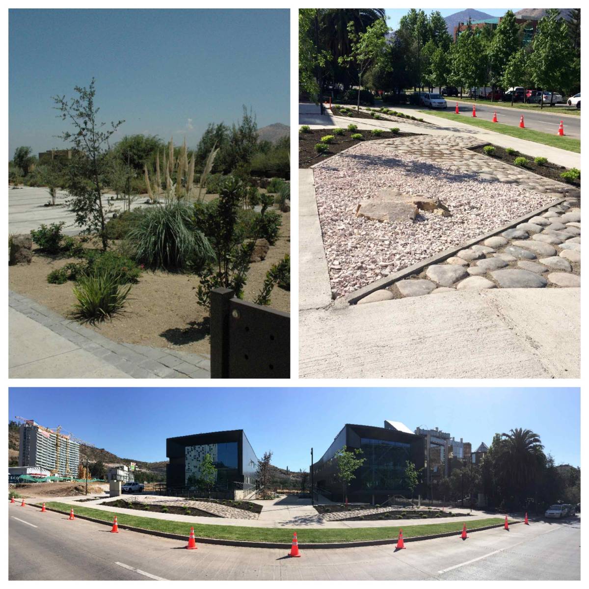 Argeo Paisajismo Integral Limitada - Chacabuco - Land Leveling and Grading - Large Scale (more than 1 acre)