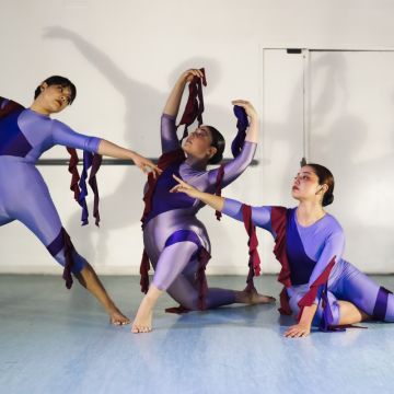DVG DANCE PROJECT - Santiago - Belly Dance Lessons