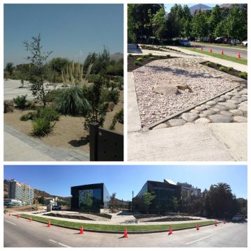 Argeo Paisajismo Integral Limitada - Chacabuco - Land Leveling and Grading - Large Scale (more than 1 acre)