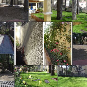 Argeo Paisajismo Integral Limitada - Chacabuco - Gardening