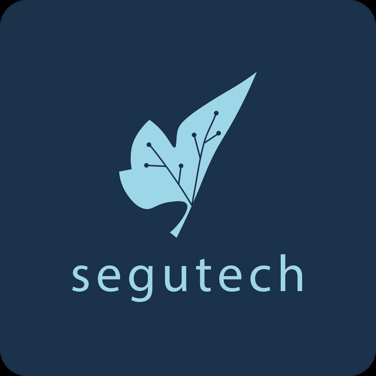 Segutech Informática & Tecnología - Valparaíso - Illustrating