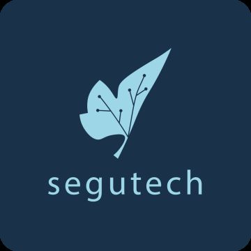 Segutech Informática & Tecnología - Valparaíso - Illustrating