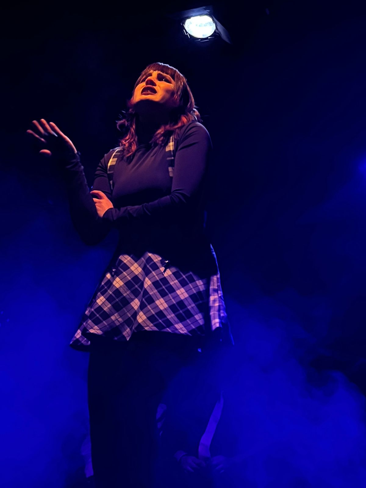 Krishna Ramírez - Melipilla - Entretenimiento con personajes disfrazados